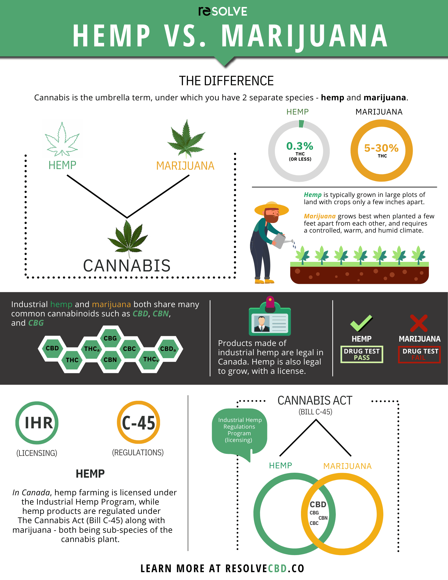 resolve_Hemp vs Marij_JP Dec2022.pdf