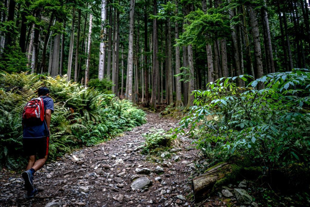 The Ultimate Pet-Friendly Guide to Vibrant Vancouver